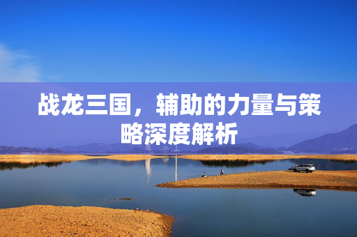 战龙三国，辅助的力量与策略深度解析