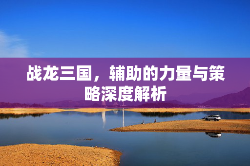 战龙三国,辅助的力量与策略深度解析 战龙三国,辅助的力量与策略深度解析