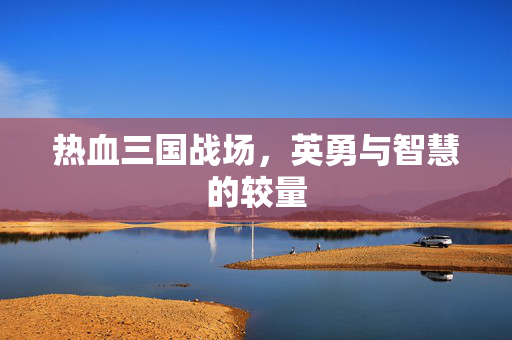 热血三国战场，英勇与智慧的较量