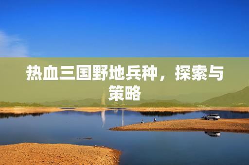 热血三国野地兵种,探索与策略 热血三国野地兵种,探索与策略
