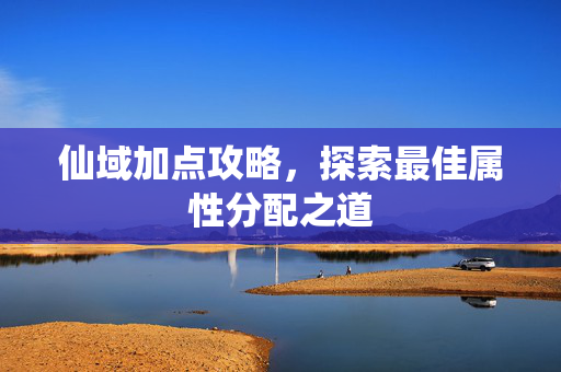 仙域加点攻略，探索最佳属性分配之道