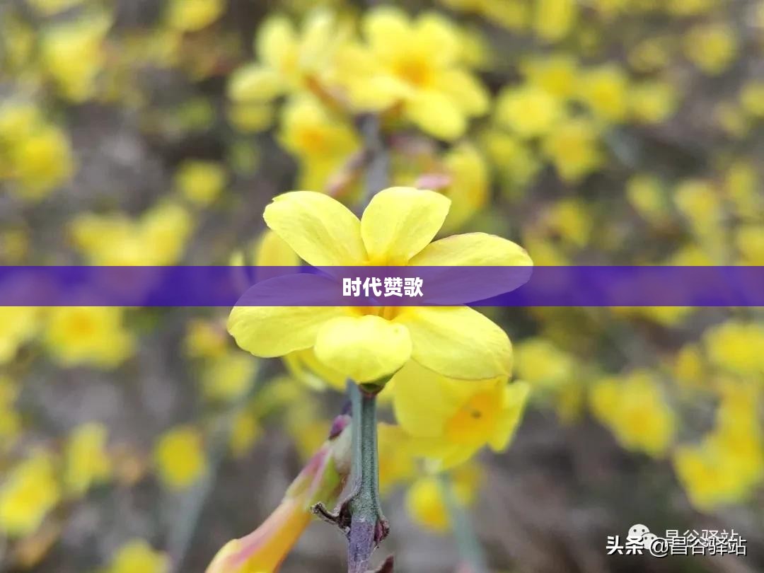 英雄传说的时代赞歌