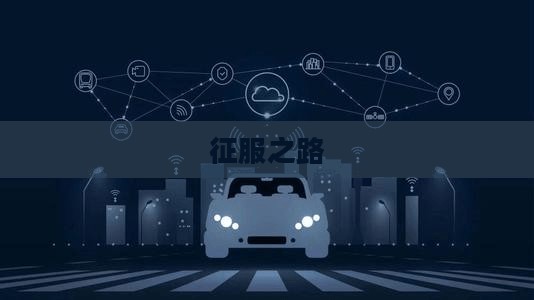 领主攻略，征服之路上的策略与智慧