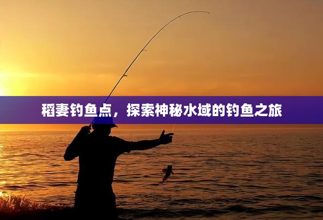 稻妻钓鱼点,探索神秘水域的钓鱼之旅 稻妻钓鱼点,探索神秘水域的钓鱼之旅