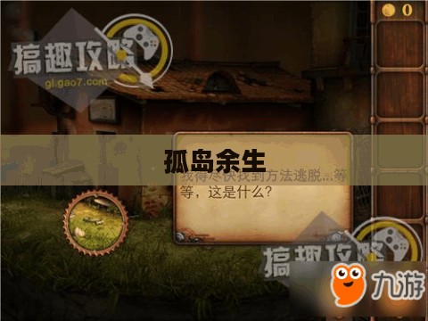 孤岛余生,生存与希望的挣扎 孤岛余生,生存与希望的挣扎