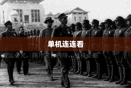 单机连连看，游戏魅力与策略解析