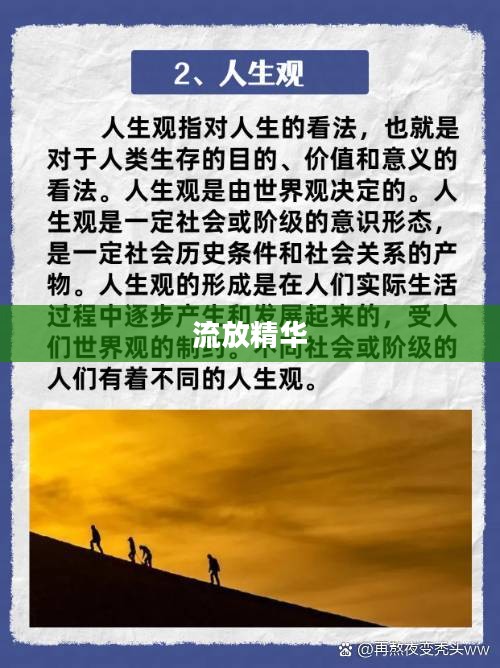 流放精华，探寻人生价值的独特视角