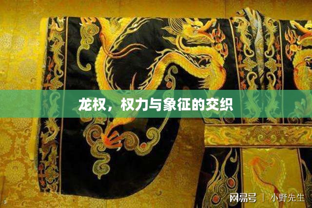 龙权，权力与象征的交织