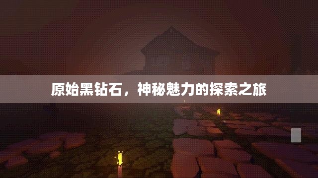 原始黑钻石,神秘魅力的探索之旅 原始黑钻石,神秘魅力的探索之旅