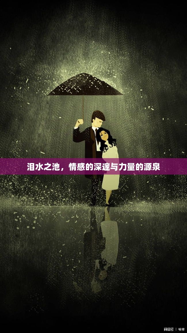 泪水之池,情感的深邃与力量的源泉 泪水之池,情感的深邃与力量的源泉