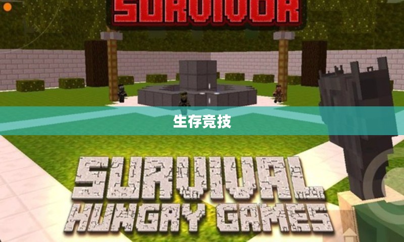 饥饿游戏下载，探索生存竞技的魅力