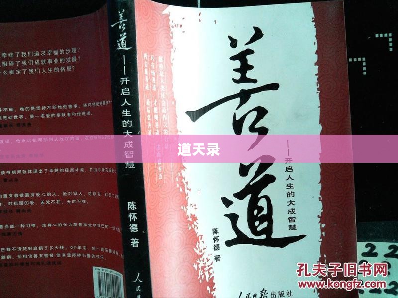 道天录，探索古老智慧与人生指引的篇章