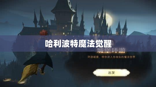 哈利波特魔法觉醒,分院测试的探索 哈利波特魔法觉醒,分院测试的探索