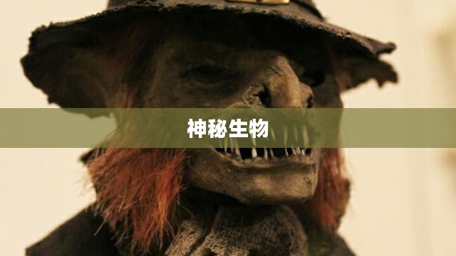 美国僵尸，电影与现实中的神秘生物