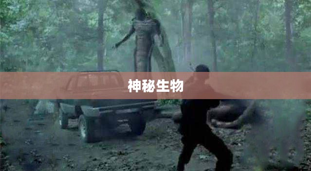 美国僵尸,电影与现实中的神秘生物 美国僵尸,电影与现实中的神秘生物