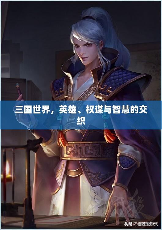 三国世界，英雄、权谋与智慧的交织
