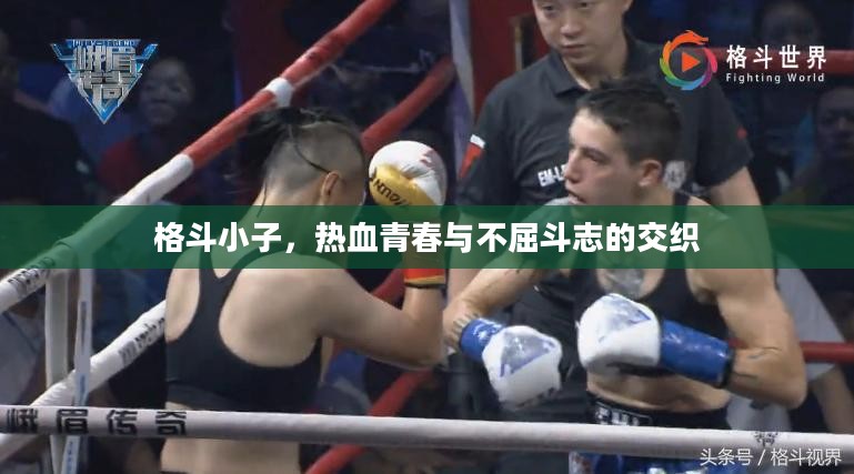 格斗小子，热血青春与不屈斗志的交织