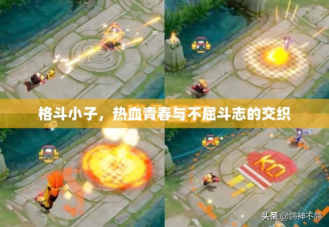 格斗小子,热血青春与不屈斗志的交织 格斗小子,热血青春与不屈斗志的交织