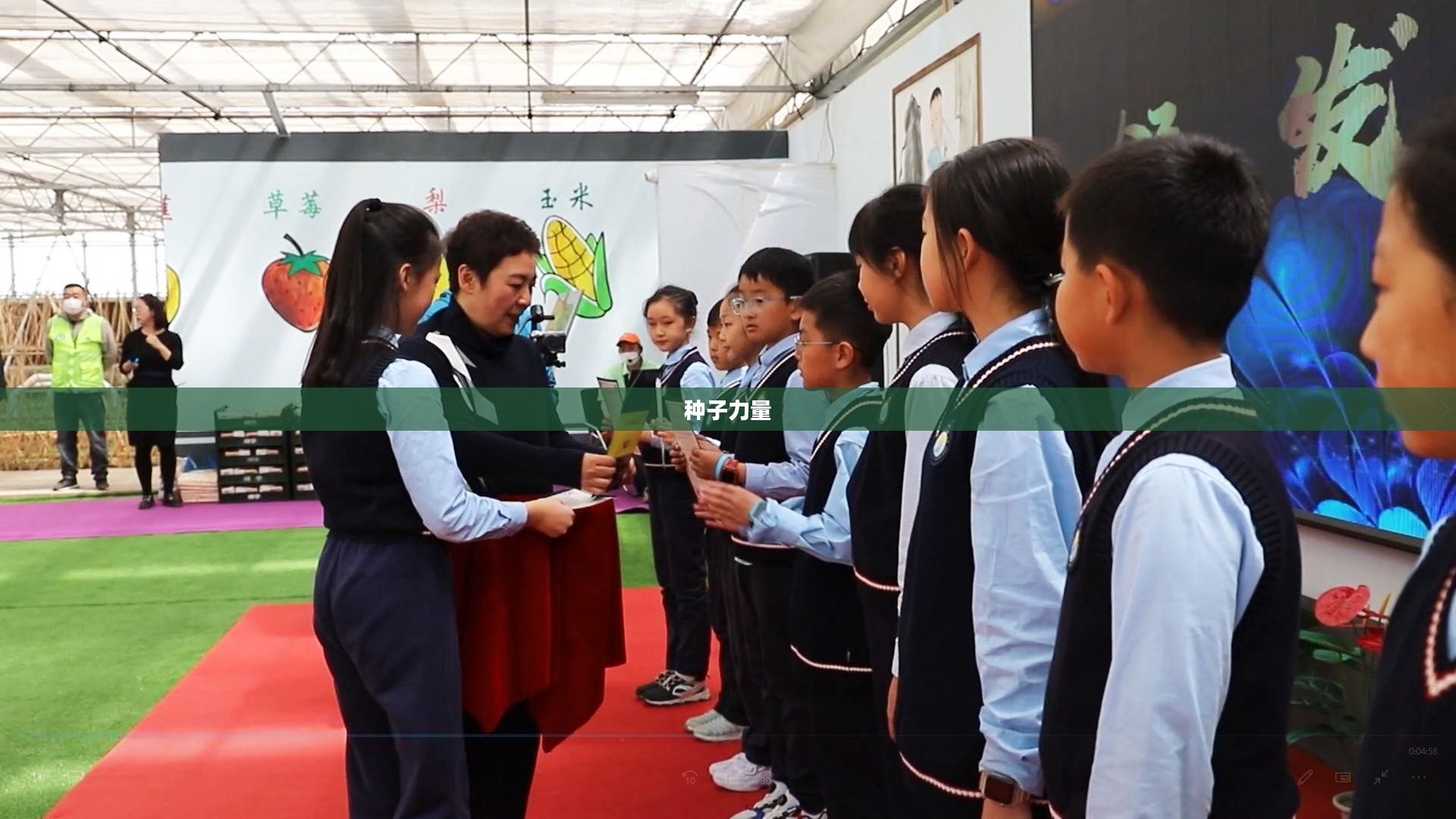 种子的力量，探索与启示
