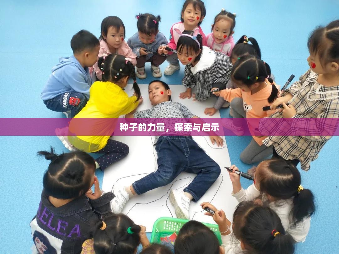 种子的力量，探索与启示