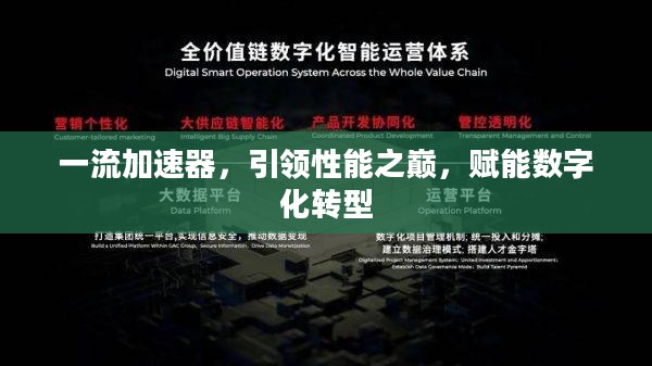 一流加速器,引领性能之巅,赋能数字化转型 一流加速器,引领性能之巅,赋能数字化转型