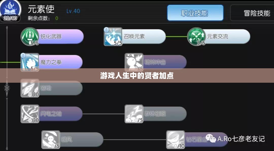 游戏人生中的贤者加点