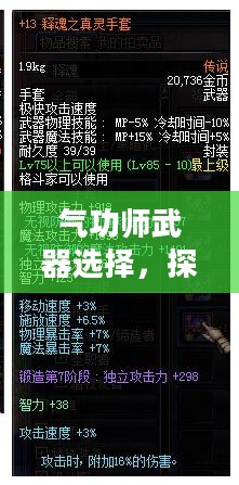 气功师武器选择，探索最佳武器搭配