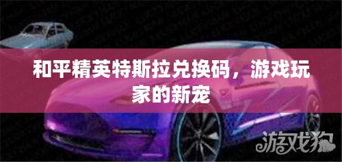 和平精英特斯拉兑换码，游戏玩家的新宠