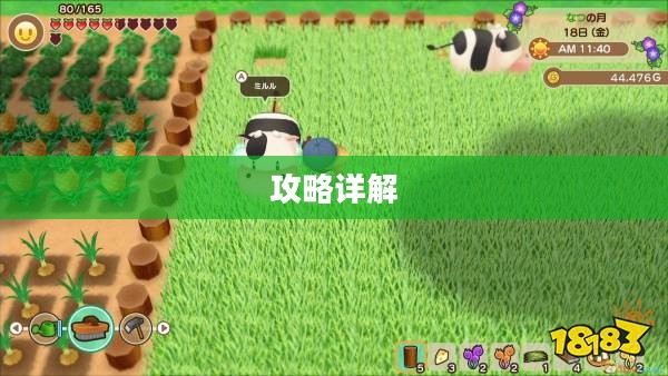 牧场物语矿石镇攻略详解