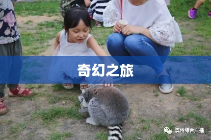 太空飞车的奇幻之旅