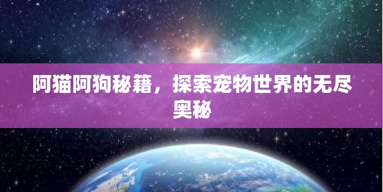 阿猫阿狗秘籍,探索宠物世界的无尽奥秘 阿猫阿狗秘籍,探索宠物世界的无尽奥秘