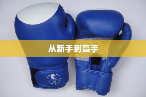 真实拳击攻略，从新手到高手的全面指南