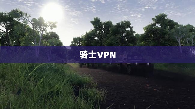 骑士VPN，探索网络自由的新境界