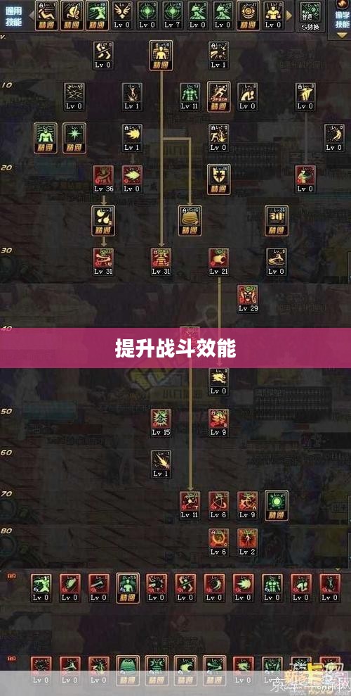 男气功加点攻略,提升战斗效能的关键步骤 男气功加点攻略,提升战斗效能的关键步骤