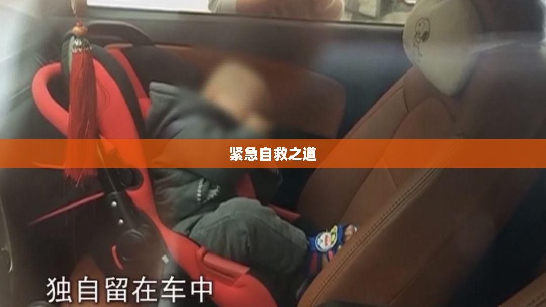 车内逃脱攻略,紧急情况下的自救之道 车内逃脱攻略,紧急情况下的自救之道
