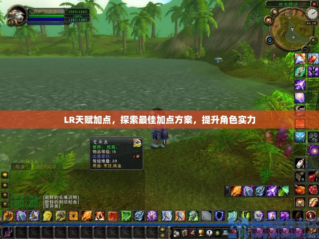 LR天赋加点，探索最佳加点方案，提升角色实力