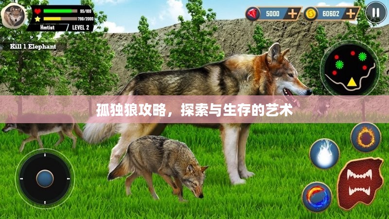 孤独狼攻略，探索与生存的艺术