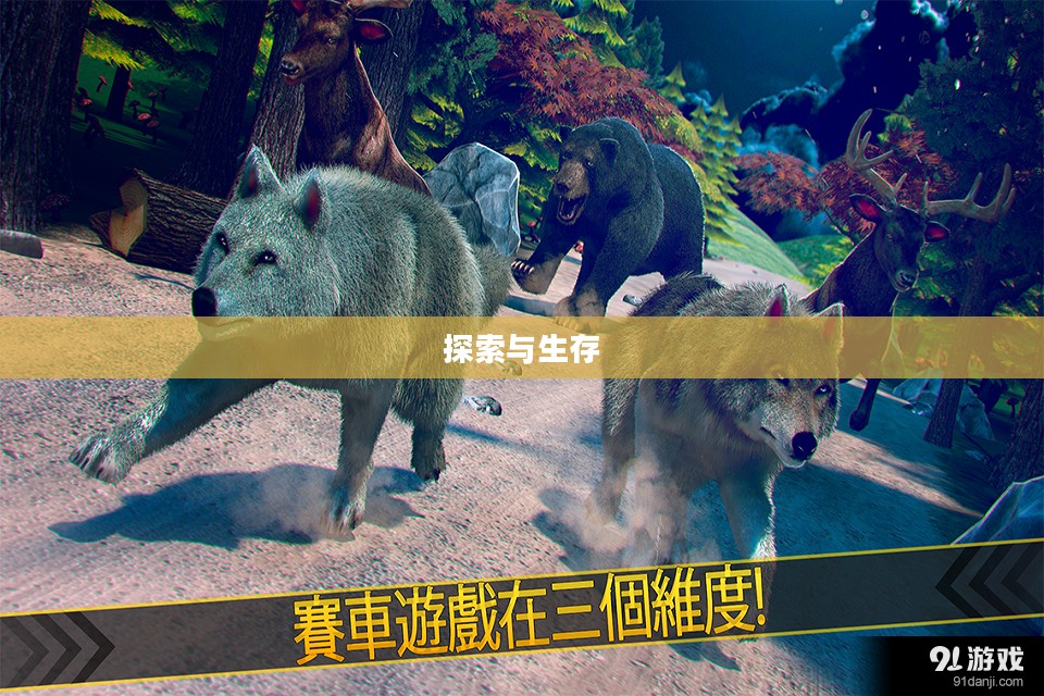 孤独狼攻略,探索与生存的艺术 孤独狼攻略,探索与生存的艺术
