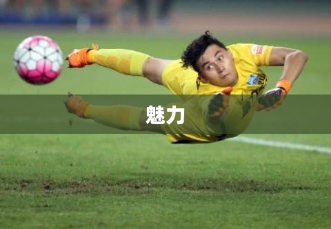 足球传说的无尽魅力