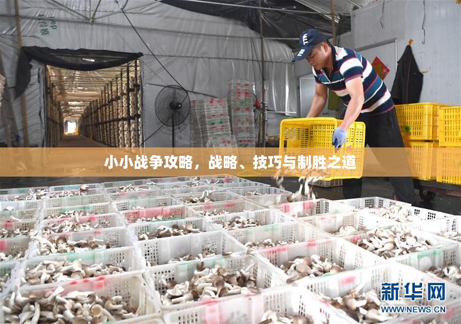 小小战争攻略，战略、技巧与制胜之道