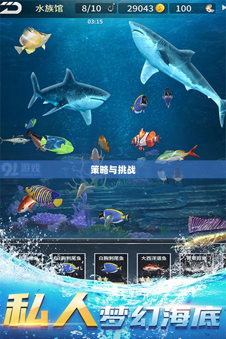 钓大鱼游戏，策略、乐趣与挑战