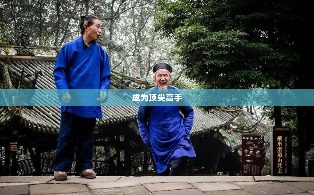 功夫熊猫游戏秘籍，掌握秘籍，成为顶尖高手
