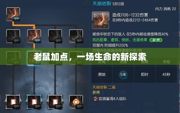 老鼠加点,一场生命的新探索 老鼠加点,一场生命的新探索