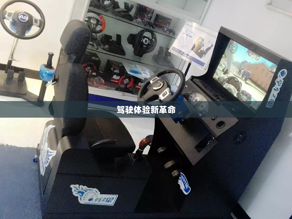 真实模拟开车,驾驶体验的新革命 真实模拟开车,驾驶体验的新革命