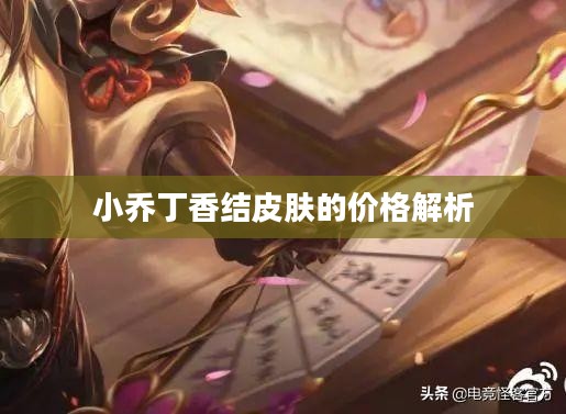 小乔丁香结皮肤的价格解析