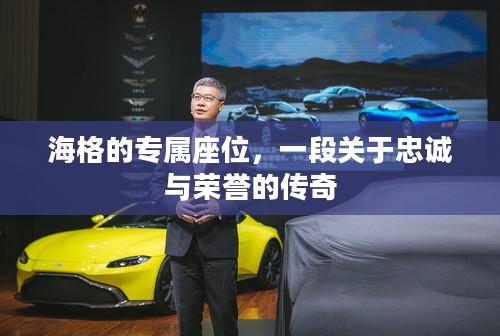 海格的专属座位，一段关于忠诚与荣誉的传奇