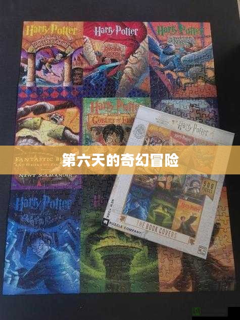 哈利波特拼图寻宝第六天的奇幻冒险