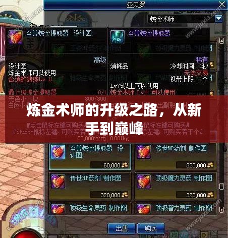 炼金术师的升级之路，从新手到巅峰
