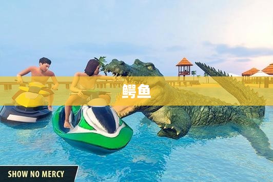 城中的鳄鱼 城中的鳄鱼