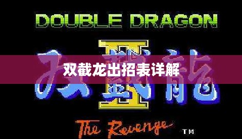 双截龙出招表详解 双截龙出招表详解